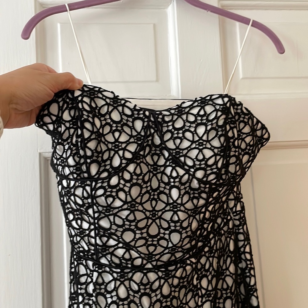 Strapless Cynthia steffe dress